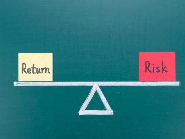 Diversification Balancing Risk and Returns