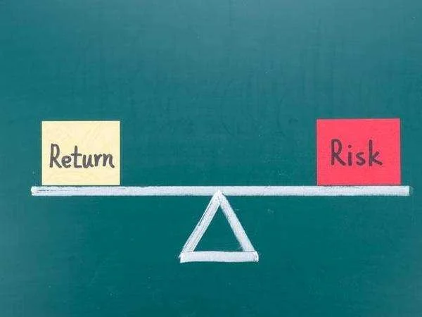Diversification Balancing Risk and Returns